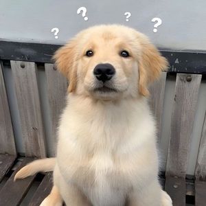 Meet your Posher, Chloe